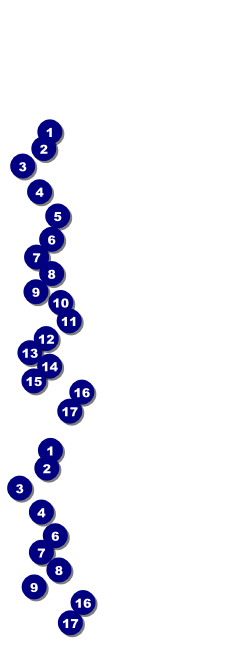 Gospel Event Ticket Front Field Markers
