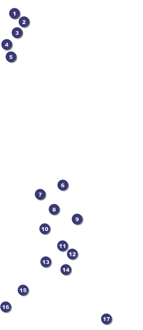 Diwali VIP Pass Front Field Markers