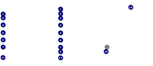 Dragonfly Gift Certificate 002 Front Field Markers