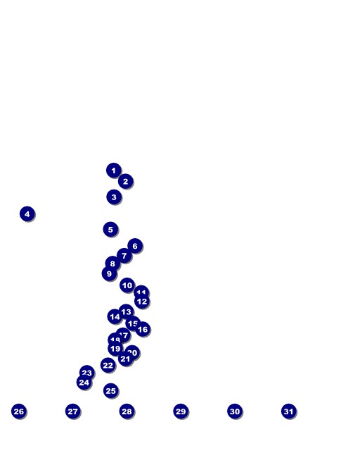 Film Festival Flyer Front Field Markers