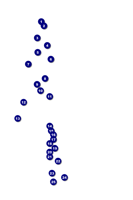 St. Patrick's Day Poster 002 Front Field Markers
