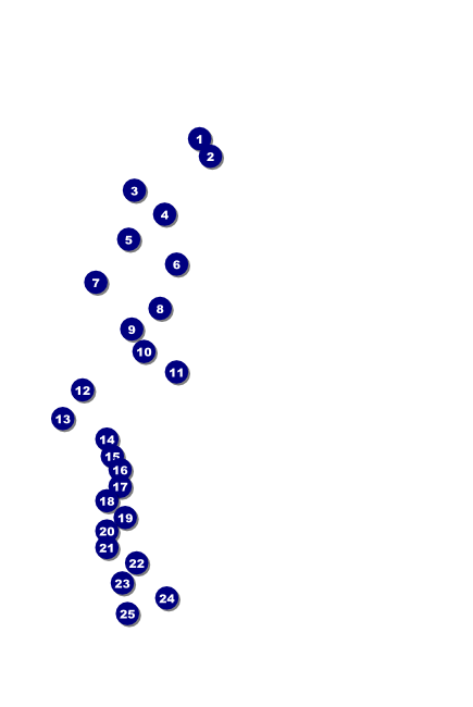 St. Patrick's Day Poster 004 Front Field Markers
