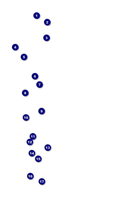Christmas Angel Poster Front Field Markers