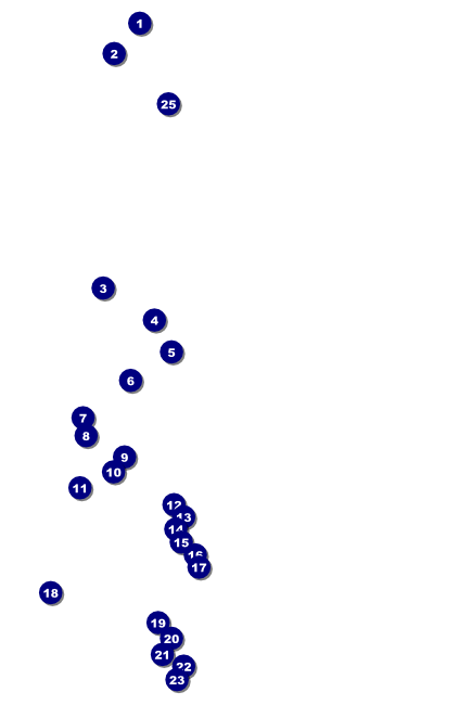 Sports Poster 001 in Blue and Yellow Front Field Markers