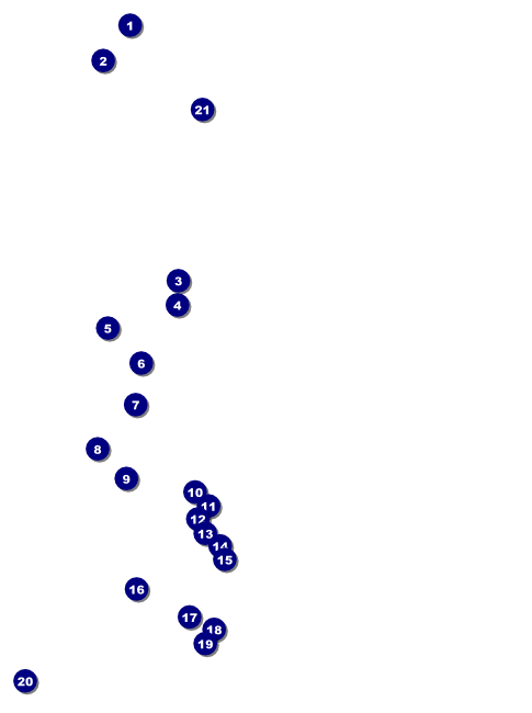 Sports Flyer 001 in Blue and Yellow Front Field Markers