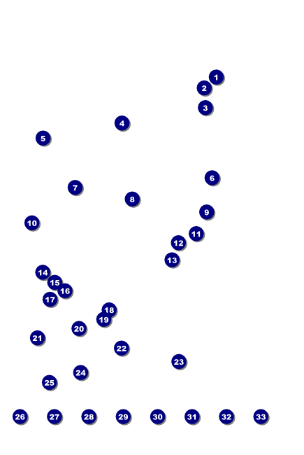 New York Poster Front Field Markers