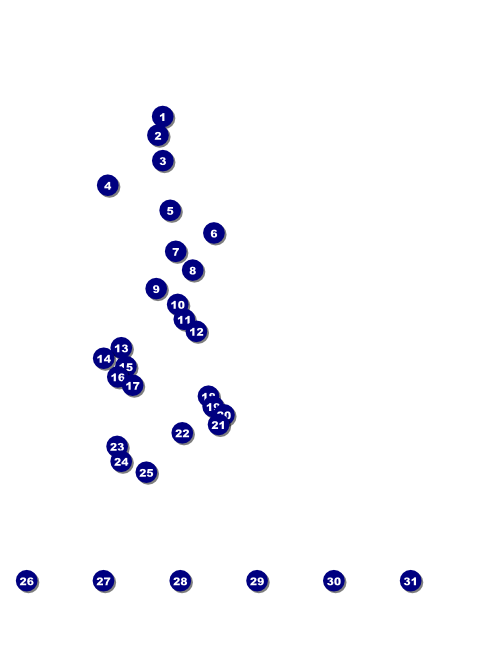 Performing Arts Flyer Front Field Markers