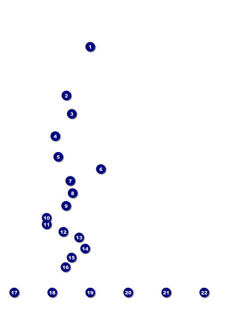 2012 Gold Semi-Formal Logo Flyer Front Field Markers