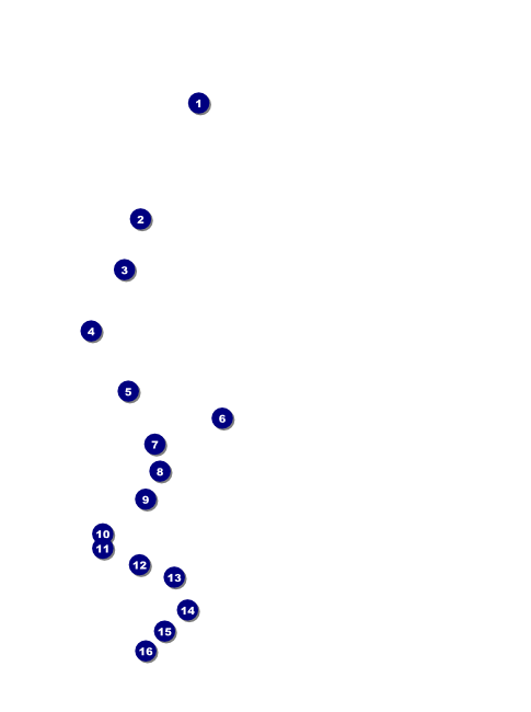2012 Gold Semi-Formal Flyer Front Field Markers