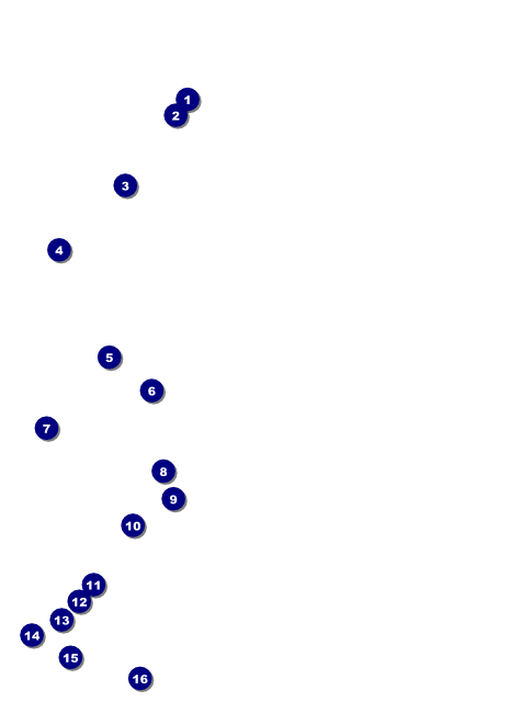 Classic Black Pinstripe Flyer Front Field Markers