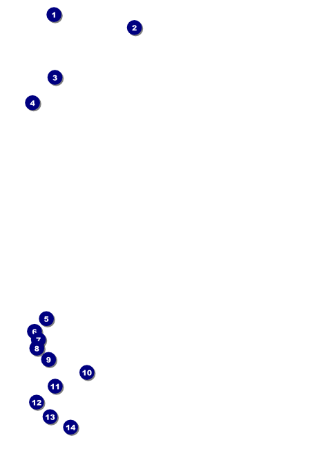 Prism Tree Flyer Front Field Markers