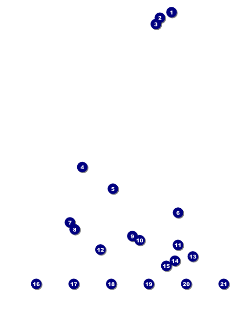 Chinese New Year Flyer With Place Holder Image Front Field Markers