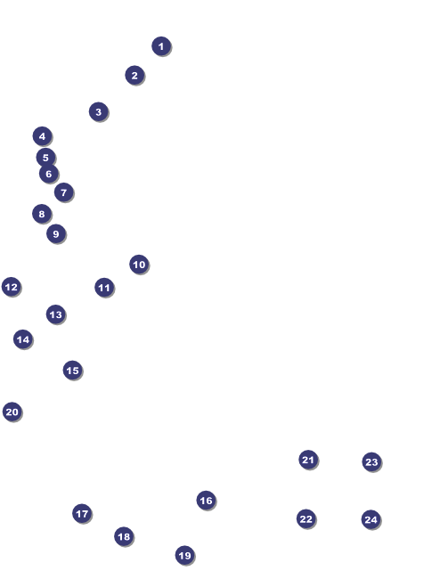 Winter Festival Flyer Front Field Markers