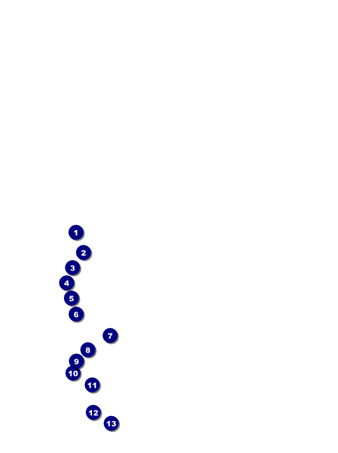 Snowflake Ornament Flyer Front Field Markers