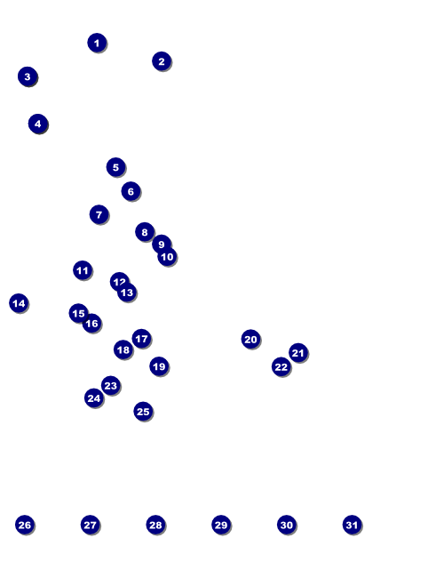 Guy Fawkes Flyer Front Field Markers