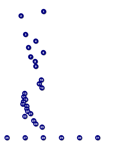 Shamrock Flyer Front Field Markers