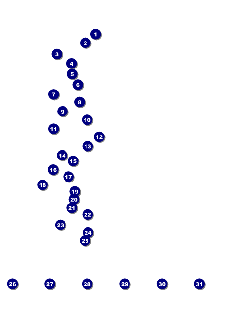 Mixed Martial Arts Red Flyer Front Field Markers