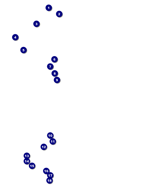 Glitter Prom Flyer Front Field Markers