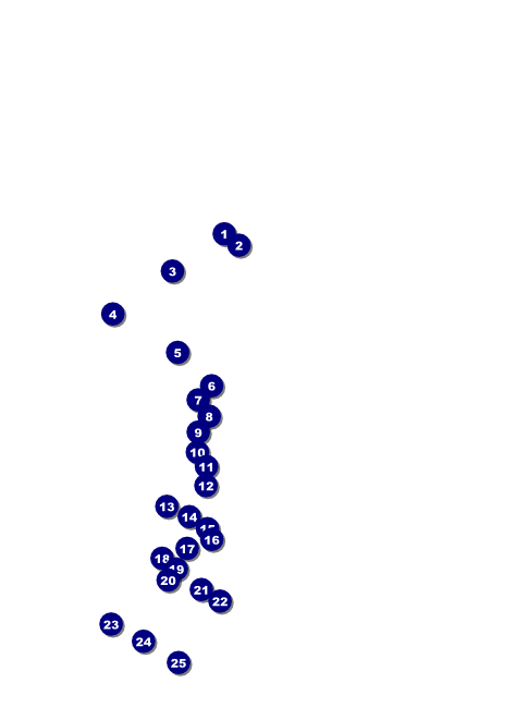 Gospel Flyer Front Field Markers