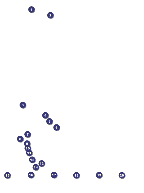 Skating Party Logo Flyer Front Field Markers