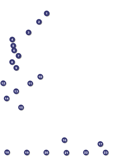 Winter Festival Logo Flyer Front Field Markers