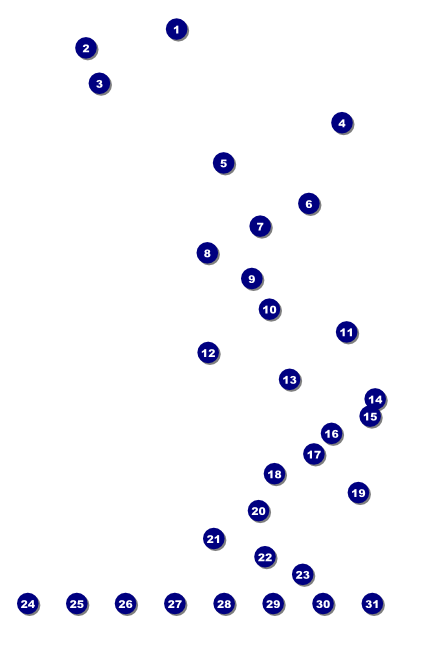 2010 Classic Green Poster Front Field Markers