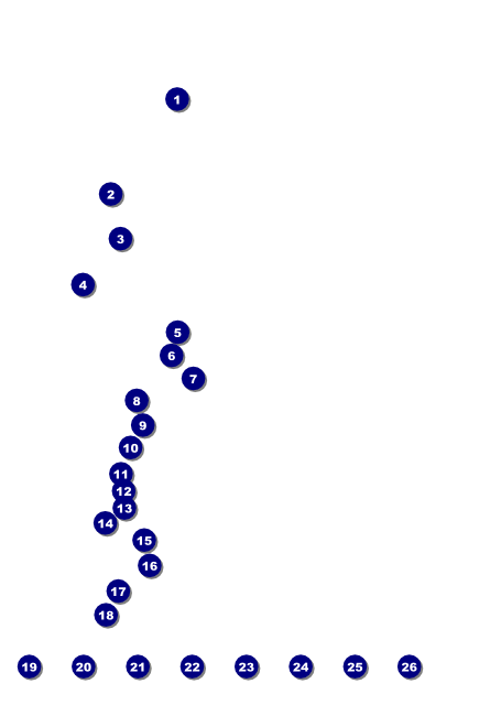 2012 Gold Semi-Formal Logo Poster Front Field Markers