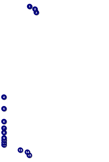 Chinese New Year Poster Front Field Markers