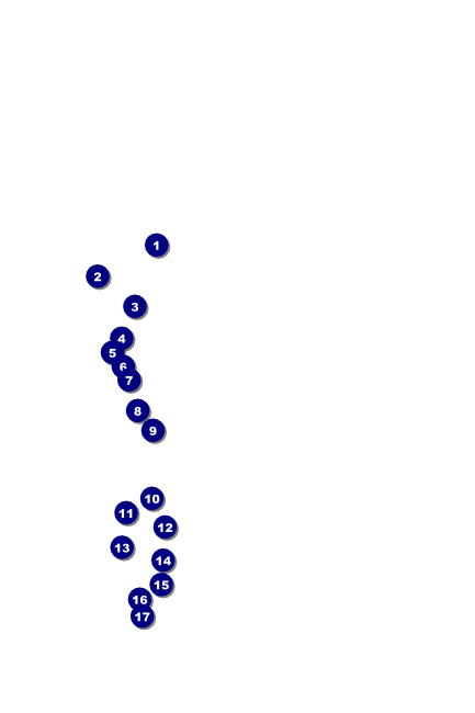 Queen's Platinum Jubilee Poster 02 Front Field Markers