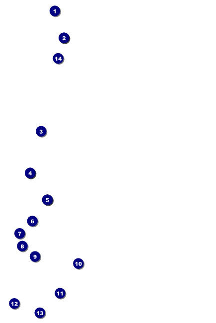 Carnival Poster Front Field Markers