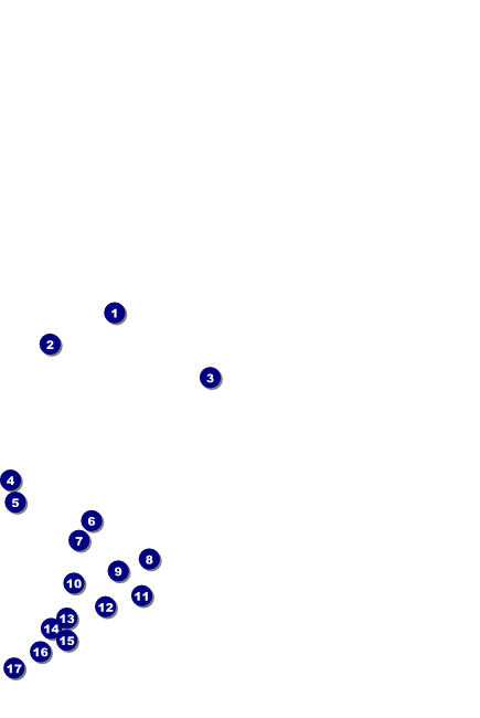 Bamboo Poster Front Field Markers