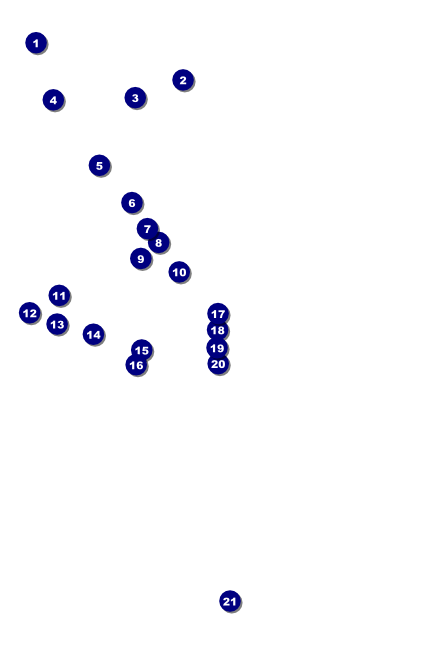 Paper Christmas Tree Poster Front Field Markers