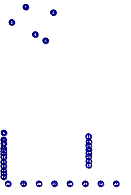 Ski Race Poster Front Field Markers