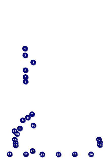 Birthday Geometric Poster Front Field Markers