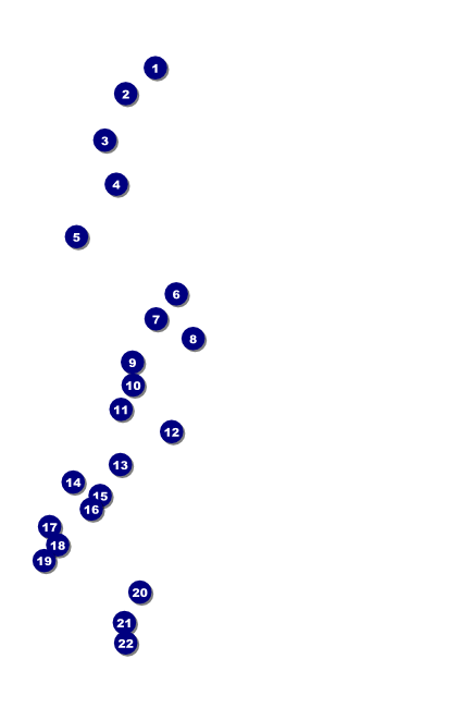 Choir Poster Front Field Markers