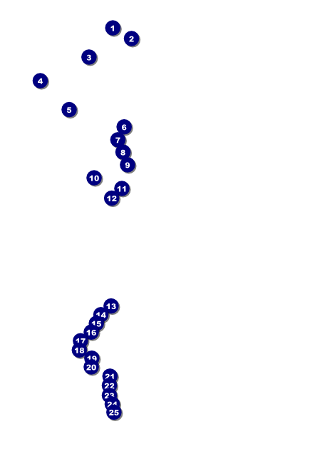 Glitter Prom Poster Front Field Markers