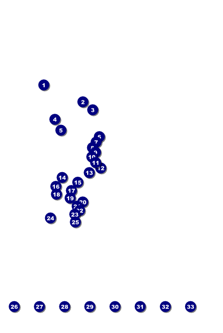 Gold Fashion Show Poster Front Field Markers