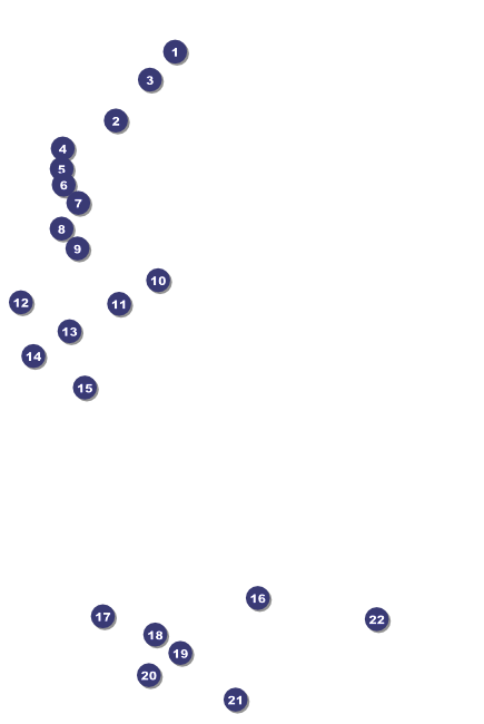 Winter Festival Logo Poster Front Field Markers