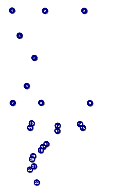 Class Reunion Poster Front Field Markers