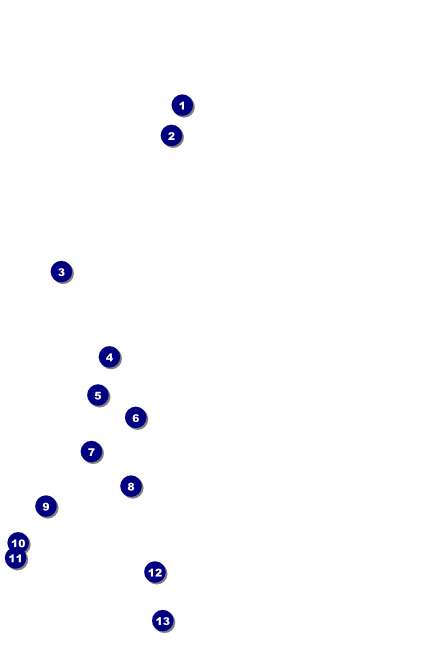 Flower Stag & Doe Poster Front Field Markers