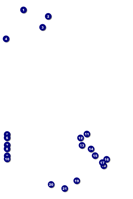 Arsenic & Old Lace Poster Front Field Markers