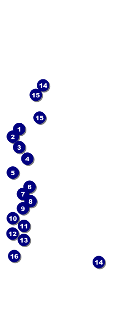 Your Image Raffle Ticket 001 Black and White Front Field Markers
