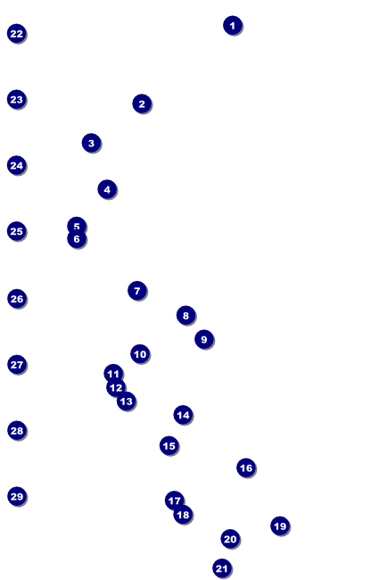 Reunion Logo Poster Front Field Markers