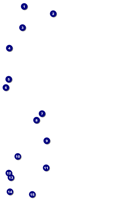 Ice Cream Social Poster Front Field Markers