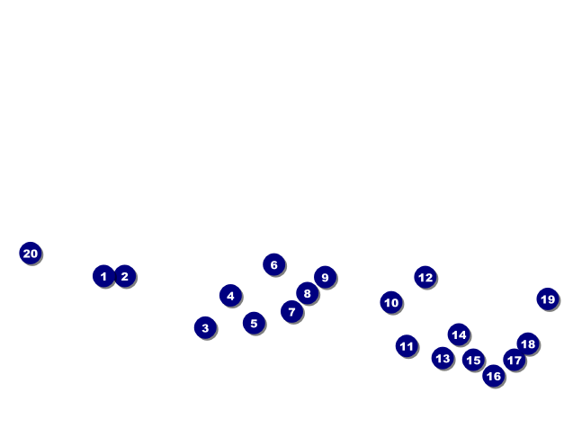 Shamrock Invitation Front Field Markers