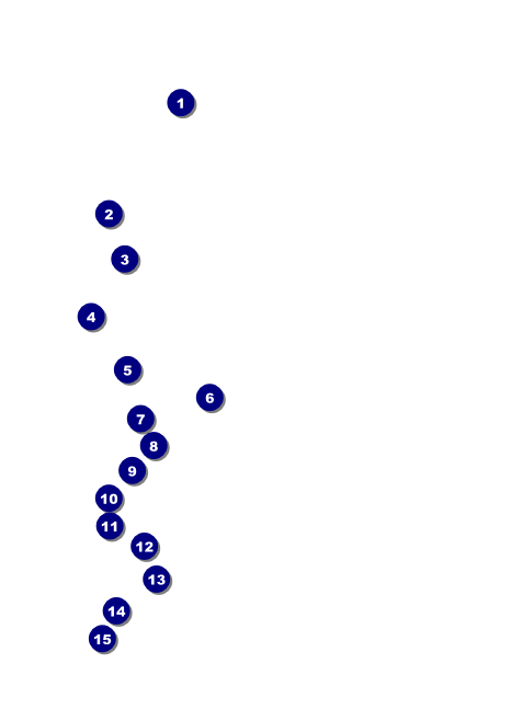 2012 Gold Semi-Formal Invitation Front Field Markers