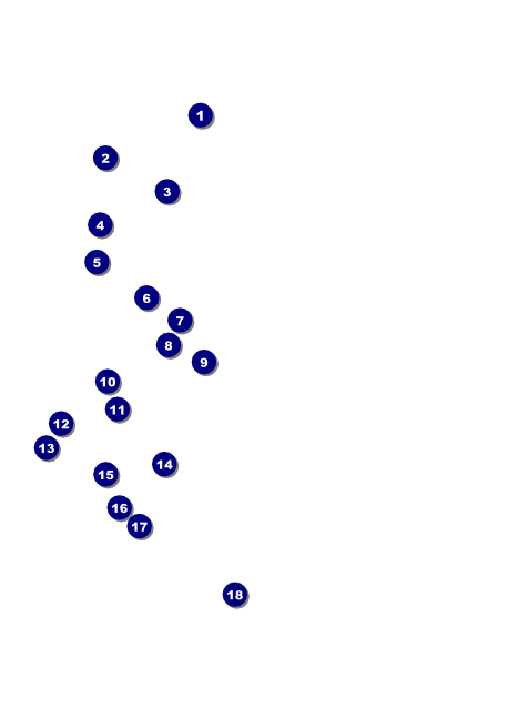 2011 Gala Plaid Green Invitation Front Field Markers