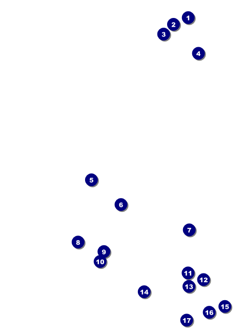 Chinese New Year Invitation Front Field Markers