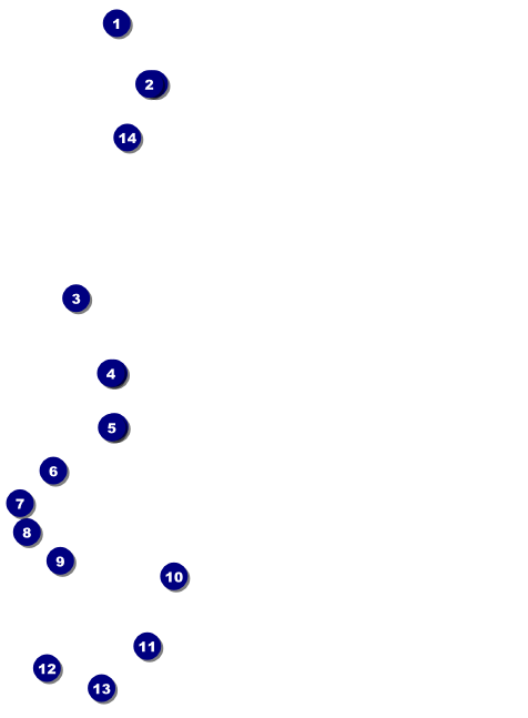 Carnival Invitation Front Field Markers