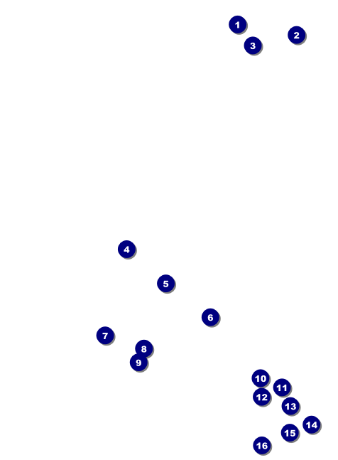 Chinese New Year 2014 Invitation Front Field Markers